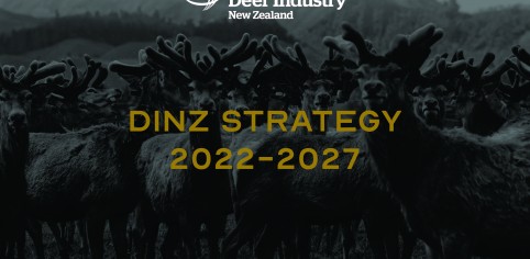 strategy doc Page 01