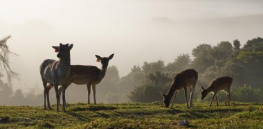 Iryna Uriupina Family first