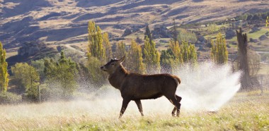 Kristil Leslie Splash