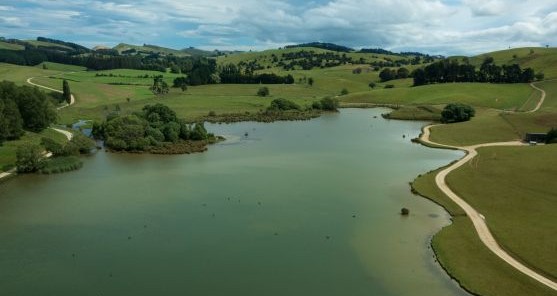 Image for MBIE dam safety article sml