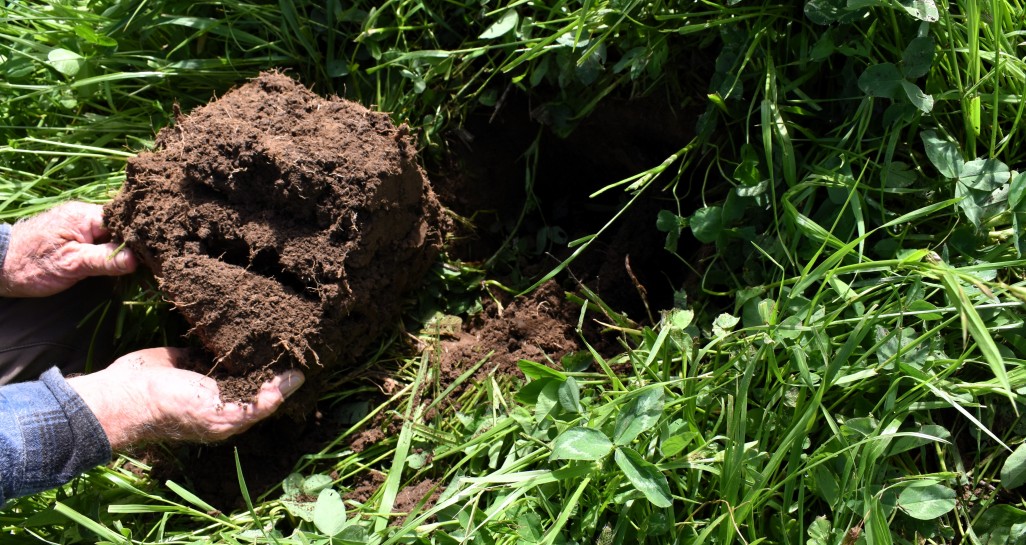 Soil testing