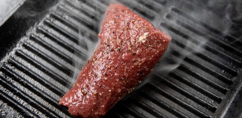 2019 Cervena 31