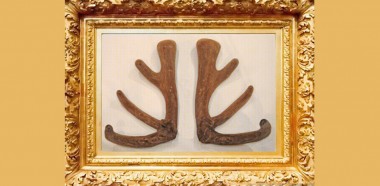 Framed velvet news page image