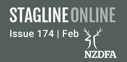 Stagline Online Landing page image Issue 174 Feb 22