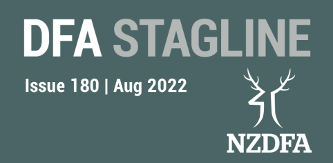 DFA Stagline landing page August 2022 blue