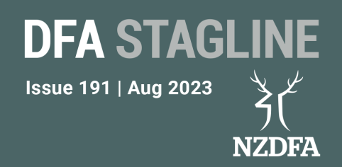 DFA Stagline landing page AUG 23