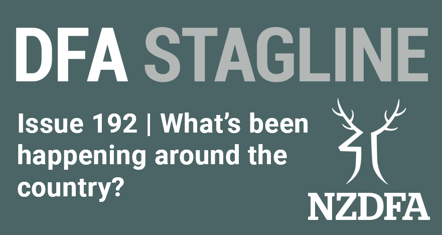 DFA Stagline landing page 192 PM update