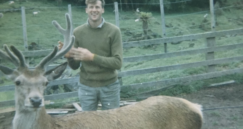 2 Deer Farm 1 photo 2