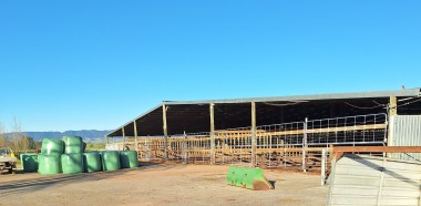NG 3 deer shed outside view