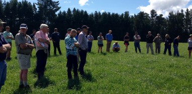 3 attendees at stop 1 feeding weaners for growth